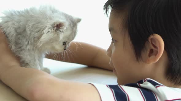 Asian child playing with kitten on sofa at home  alt