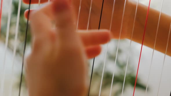 The Child Plays the Harp alt