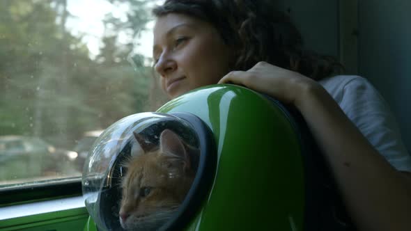 cat porthole backpack