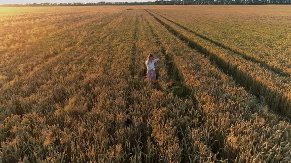 Aerial View Woman Standing in Field of Wheat During Sunset or Sunrise Drone alt