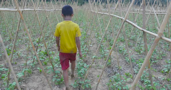 Rural Boy Walking In Garden alt