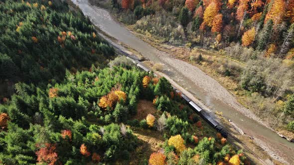 Aerial drone view of the moving steam train Mocanita in a valley along a river alt