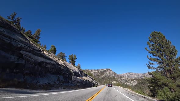 The car drives along the road in Yosemite Park.