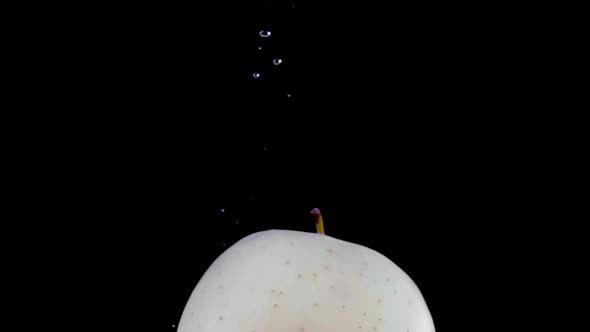 Super slow motion, one green apple falls into the water alt