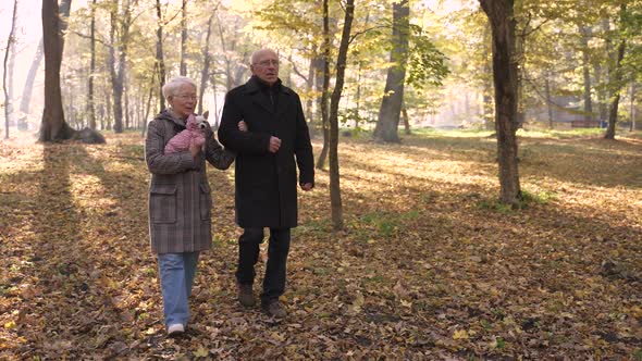 Aged Couple Walking Down Hill Among Fallen Leaves alt