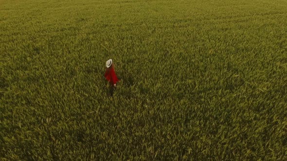 Happy Ginger Girl Dancing Spinning Around Walking Wheat Field in Beautiful Summer Red Dress Redhead