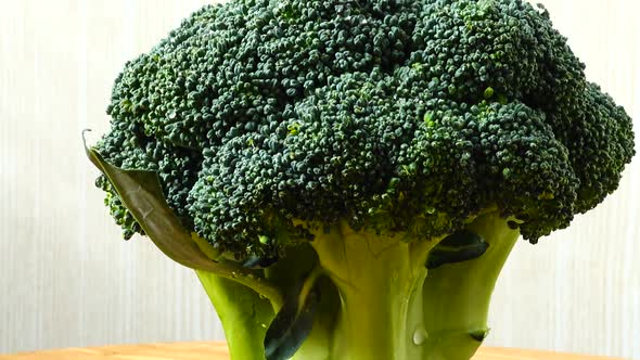 Shooting of Broccoli alt