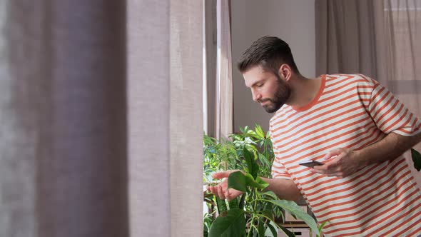 Man with Smartphone and Flowers at Home