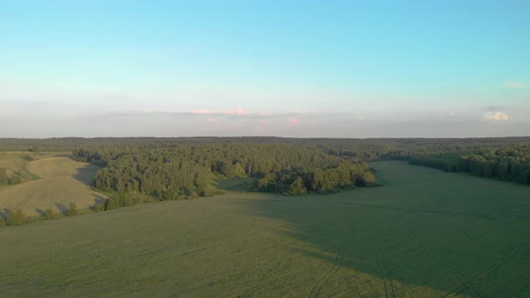 Fly to the green forest alt