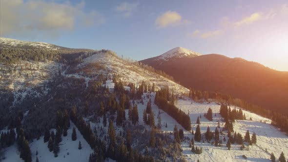 Flight Over Winter Mountain Forest in Snowfall alt