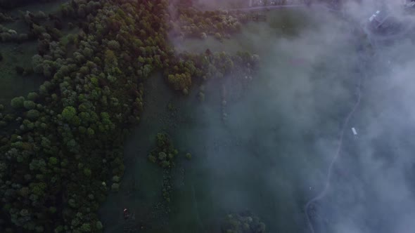 Top View Vanishing Fog in the Valley Under the Green Spring Forest