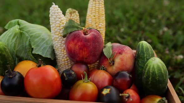 Wooden basket box or crate with different vegetables, fruits after harvesting alt