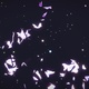 Glowing Butterflies in the Dark - VideoHive Item for Sale