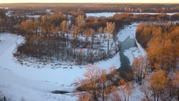 Winter Forest River