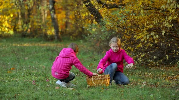 Two little girls collect apples on the grass in a basket on an autumn day