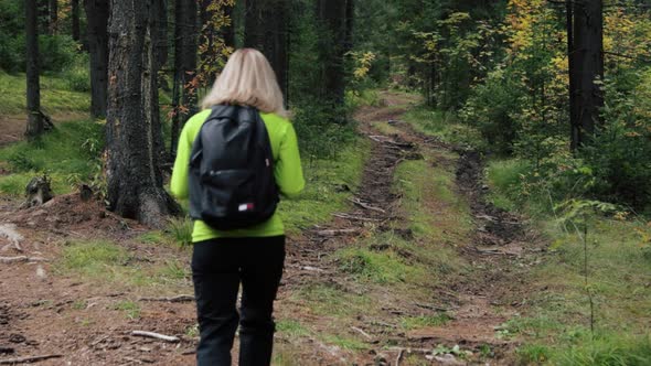 Woman tourist walking through the forest