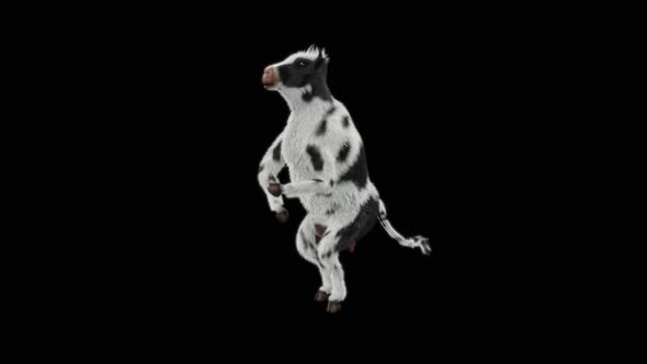 Cow Dance HD alt