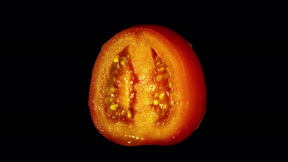 Rotating Isolated Tomato Slice alt