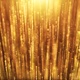 Luxury Golden Particles Streaks Rise - VideoHive Item for Sale