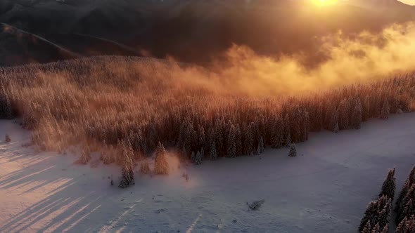 Aerial Flying Above Winter Forest in Mountain Valley at Sunset