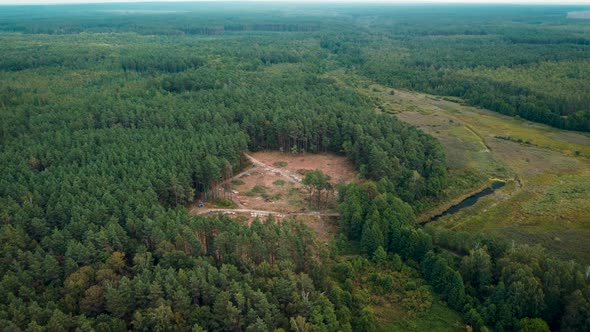 Aerial footage of cut area of pine forest in the countryside