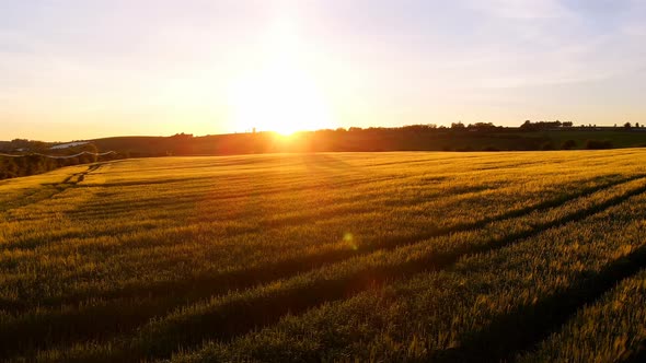 Beautiful field at sunset 4k