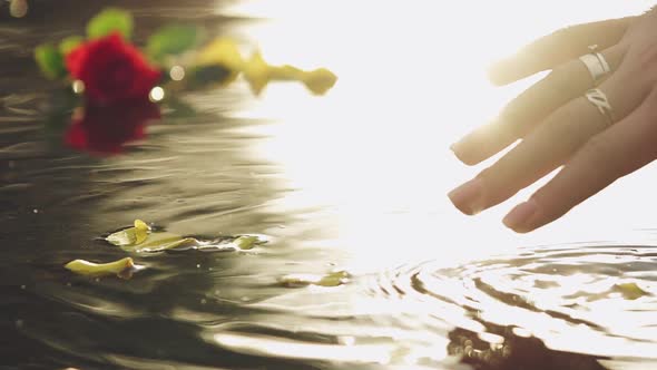 Female Hand Sliding on the Water Surface with Rose Petals alt