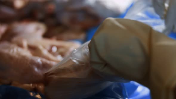 Macro View of Hands in Gloves Packing Chicken Legs From a Box Into Individual Plastic Bags alt