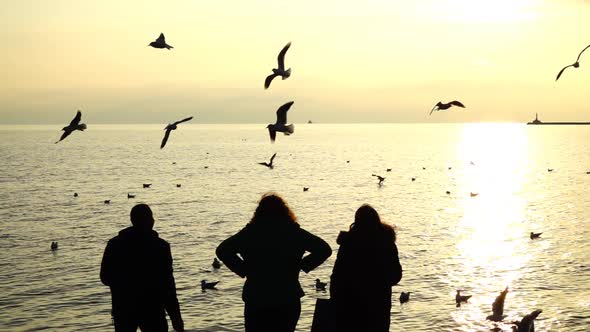 People Feed Seagulls 10 alt