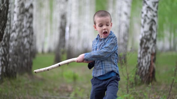 Litle Boy Walk in a Birch Grove on a Spring Day alt