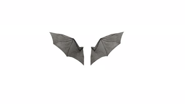 Bat Wings 4K Looped