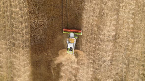 Aerial View of Combine Harvester Working During Harvesting Season on Large Ripe Wheat Field alt
