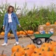 Young Mom Pulling Her Twin Babies in a Wagon in the Pumpkin Patch. Happy Family Concept - VideoHive Item for Sale