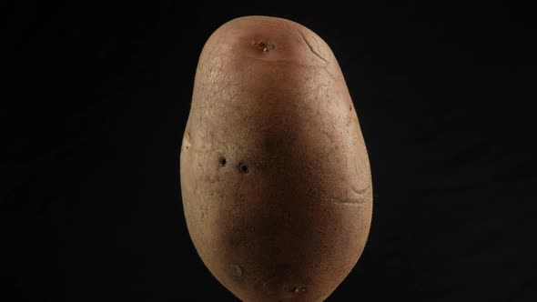 One Fresh Potato close up