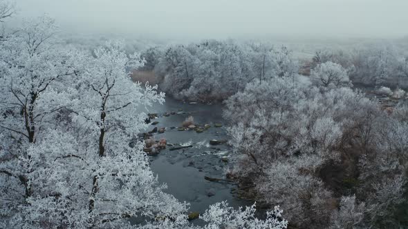 Nature scene in winter alt