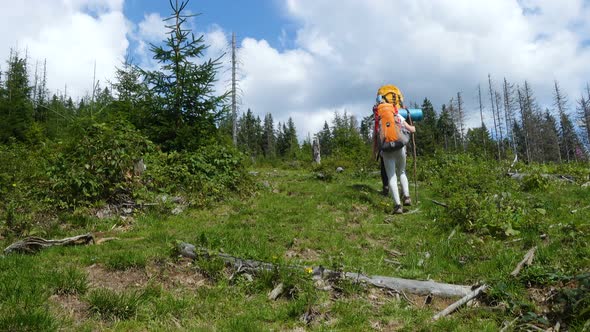 Family Hiking At The Mountains 13