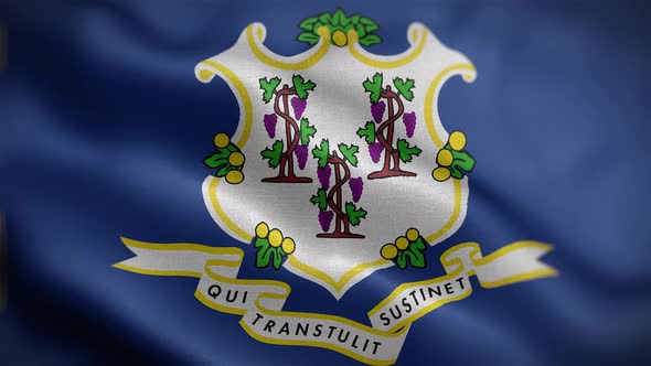 Connecticut State Flag Front