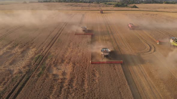 Aerial shot: flying in front of combines harvesting wheat