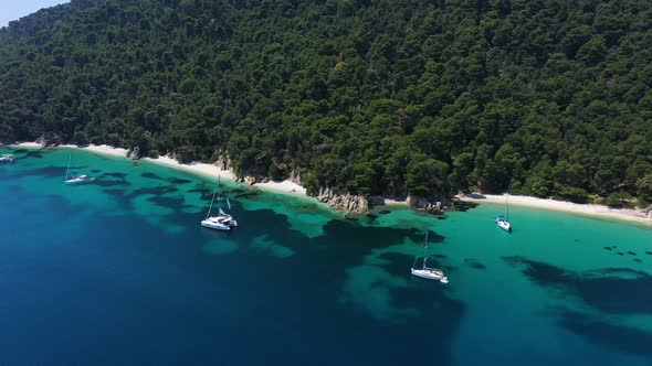 Sailboats, yachts and catamarans anchored on the shores with beach of the islands with vegetation in alt