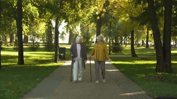 Two Smiling Old Women Talking Walking in Park, Nursing Home for Elderly, Leisure alt