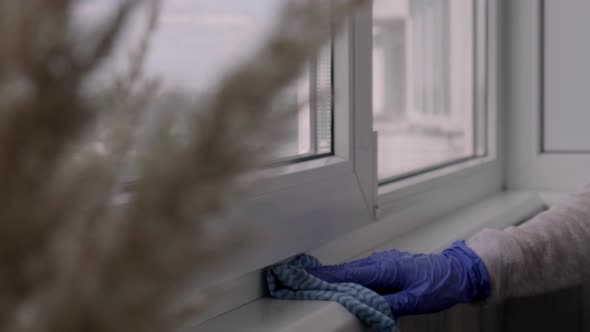 Cleaning the Windowsill alt