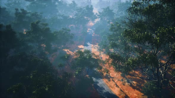 Aerial View of Landscape with Green Tropical Trees and Local Roads alt