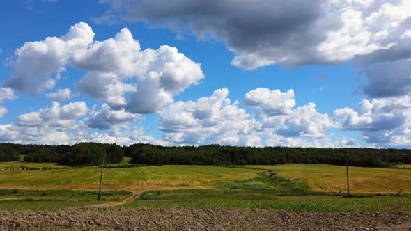 Panorama of the Summer Landscape From the Field