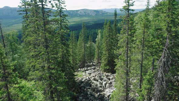 Aerial View of Pine Forest, Stone and Boulders on Mountain Slopes