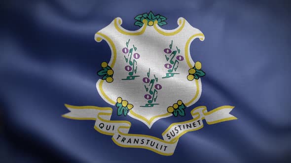 Connecticut State Flag Front HD alt