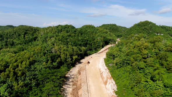 Clearing forestry landscape to build new road in Indonesia, aerial drone view alt