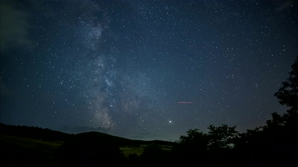 Night Sky with Milky Way Above Forest alt