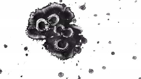 Abstract Ink Drops On Wet Paper alt