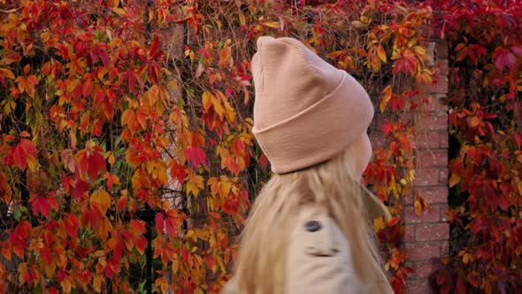 Autumn Portrait of a Child