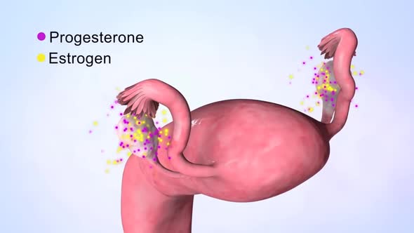 Progesterone molecule, scientific molecular model, looping  animation alt